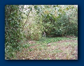 Did you say in here?